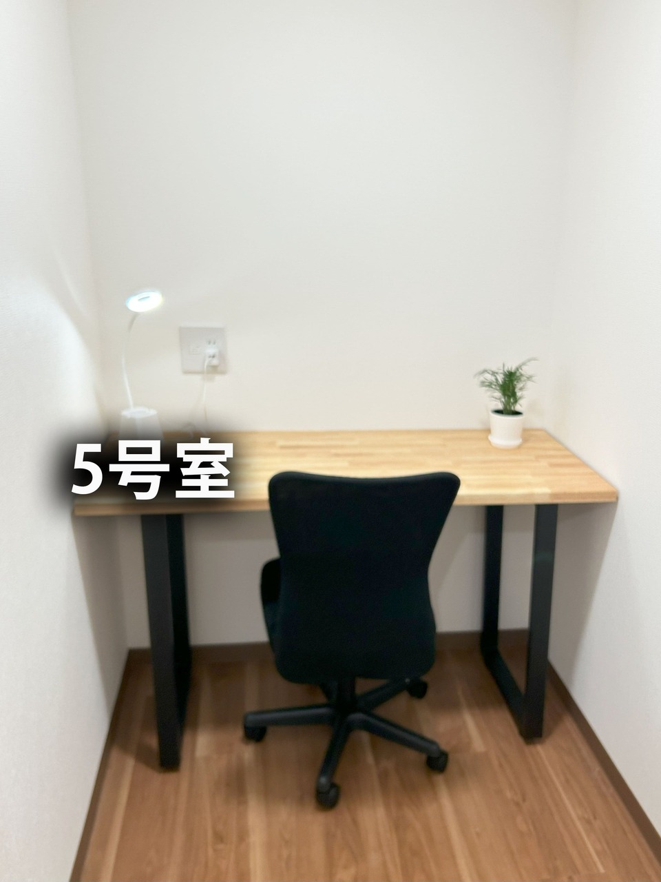 5号室（1人用）