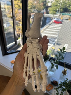 ★芦屋初★コントロロジーマシンピラティス（プライベートレッスン）