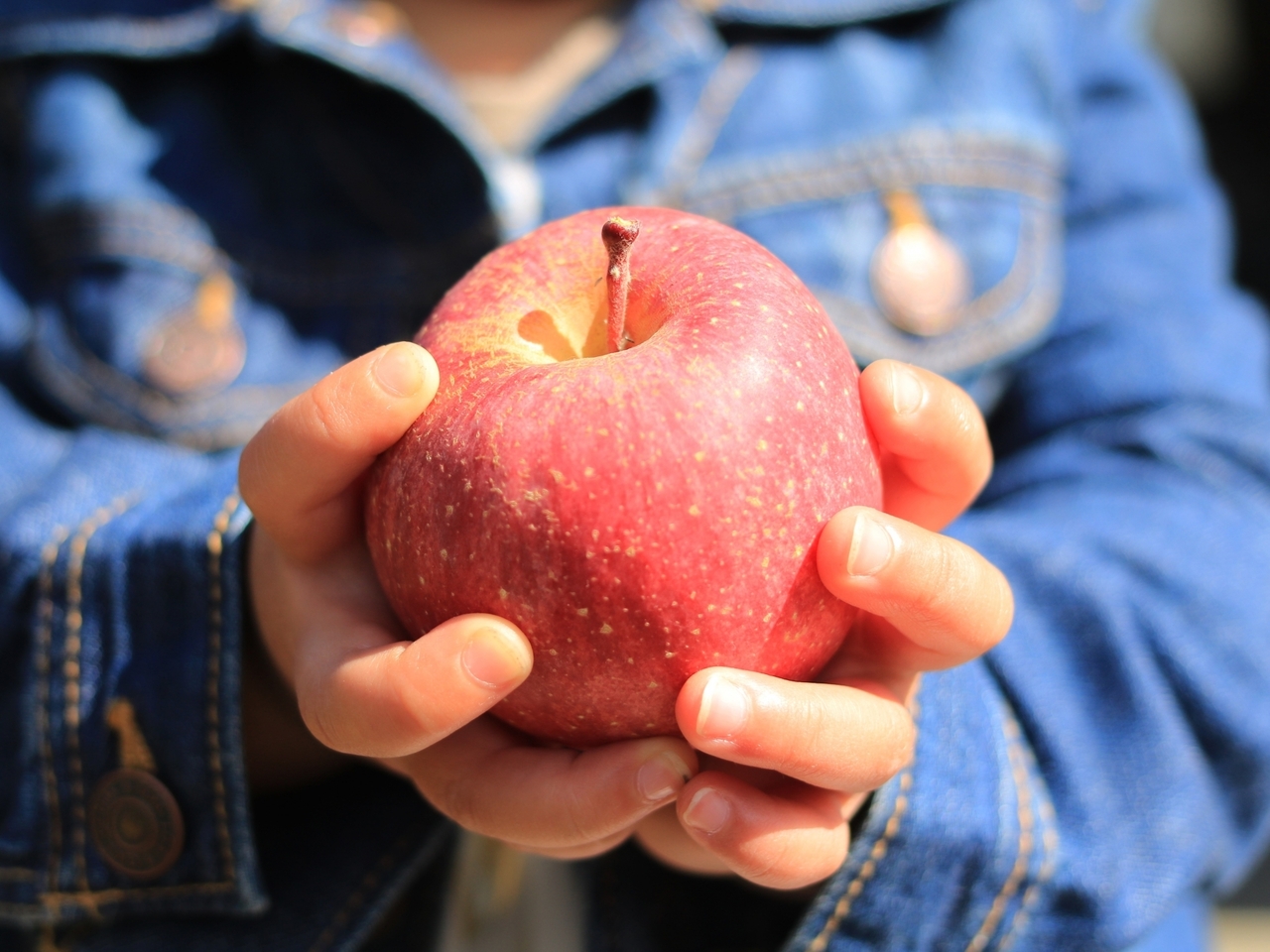 【北区王子】りんご狩り体験｜2025年11月2日(土)