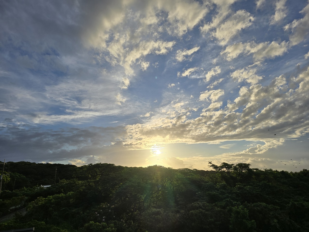 講座生、卒業生専用