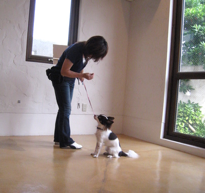 金子担当・愛犬といっしょのレッスン（30分）