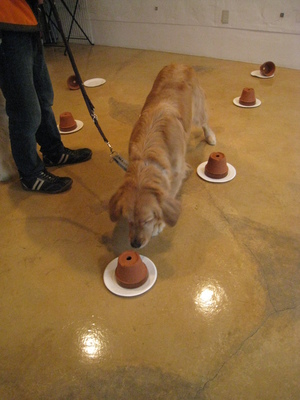 金子担当・愛犬といっしょのレッスン（30分）