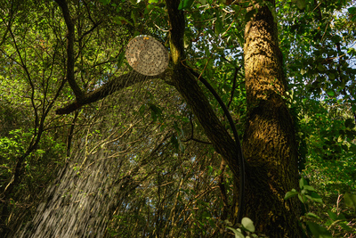 【年末年始】火のサウナ【貸切利用】