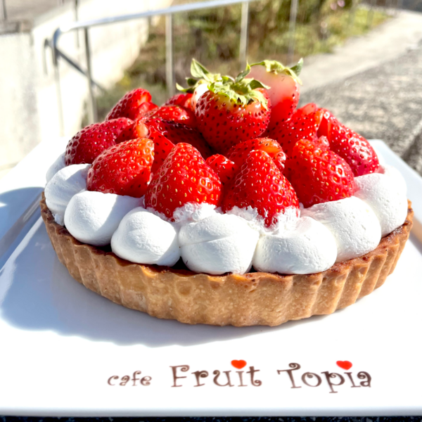 p800x600_07a883ef.png