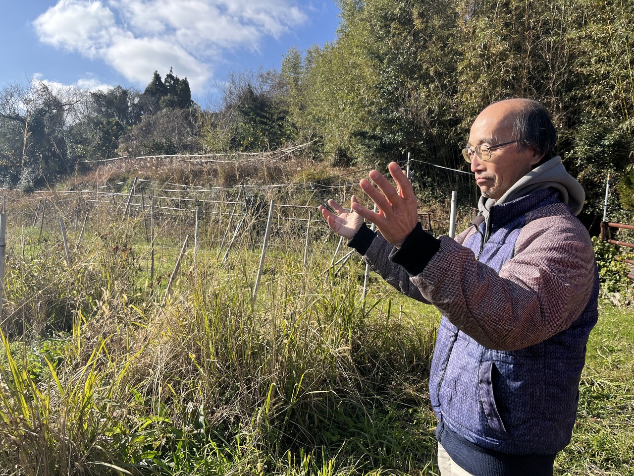 【オンライン】段々畑の夢野菜 馬場さんに聞いてみよう！