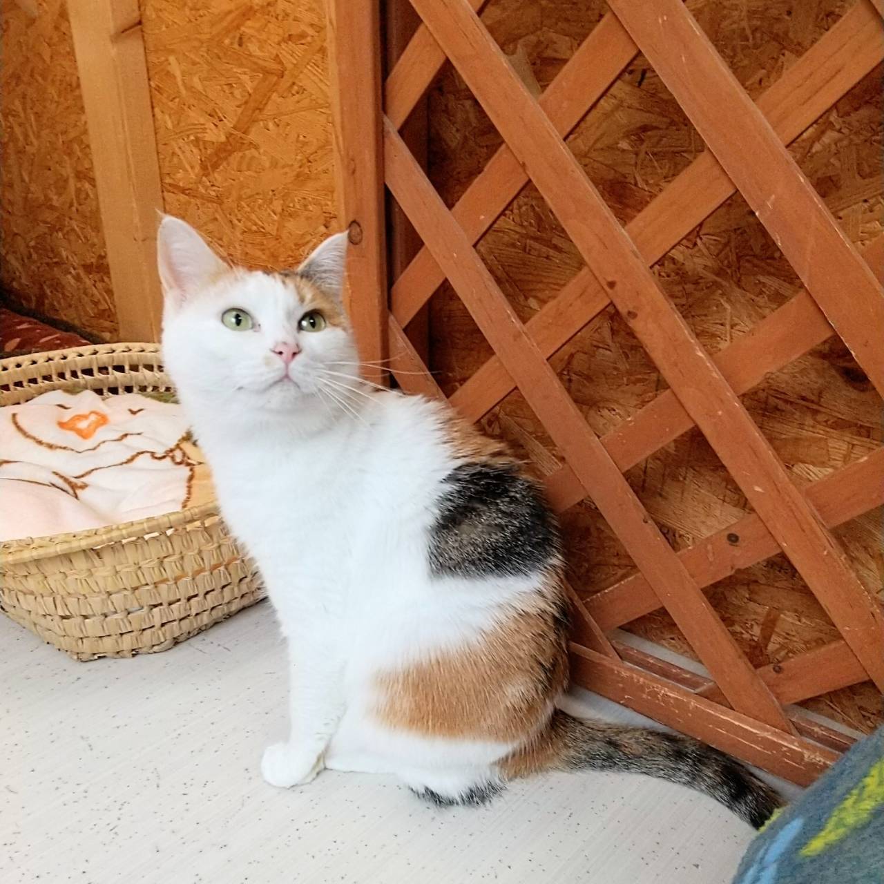 木曜日1時間ふれあいコース