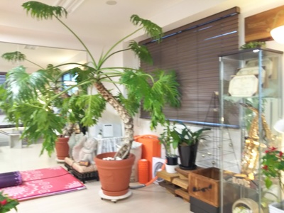 bracing.f ご予約受付ページ🌴