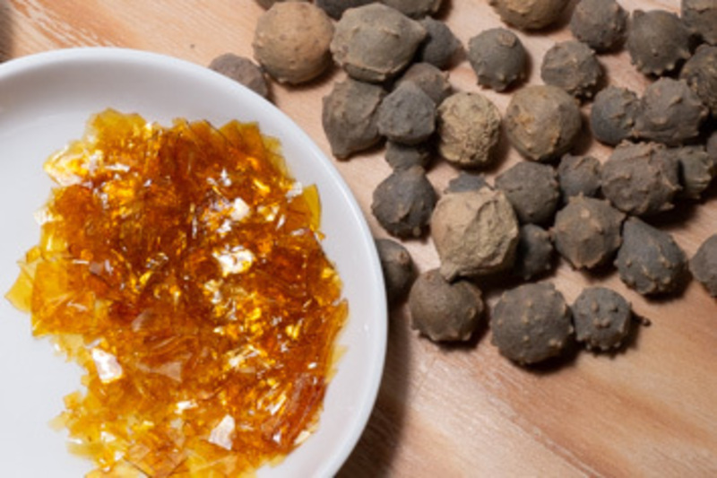 作って試そう！木炭・インク・フィキサチフ