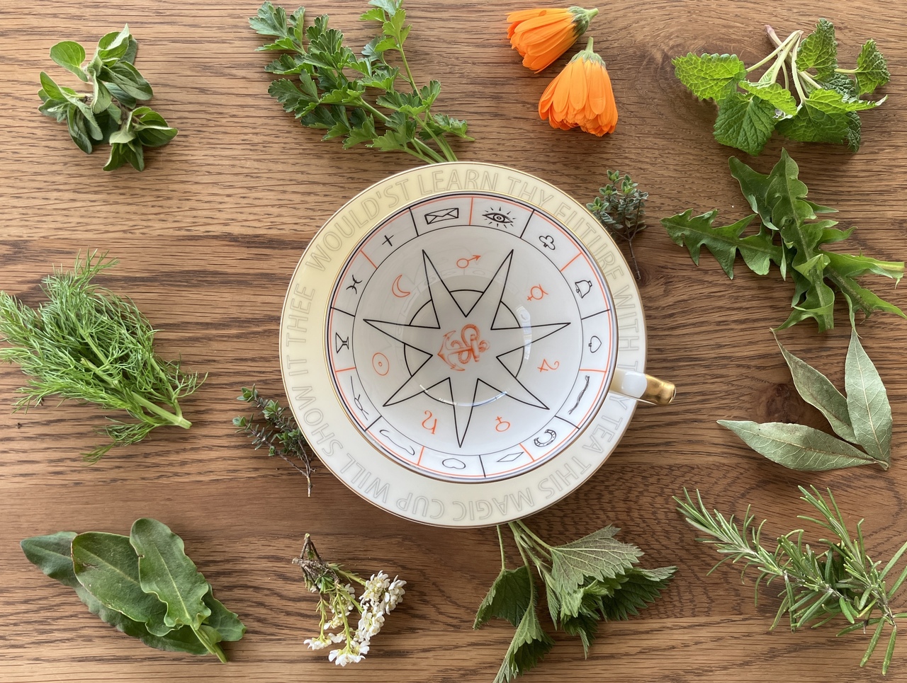 初級星読み講座