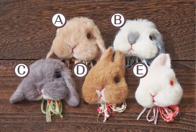 【体験】フェイスブローチ【新大阪】