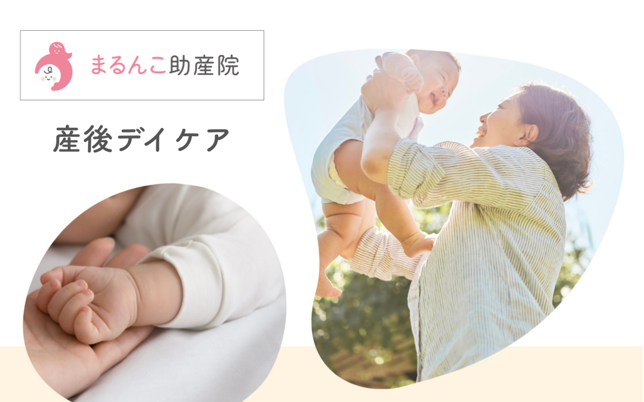 産後ケア事業(日帰り型)10:00~15:00コース ※練馬区・杉並区ご在住の方のみ