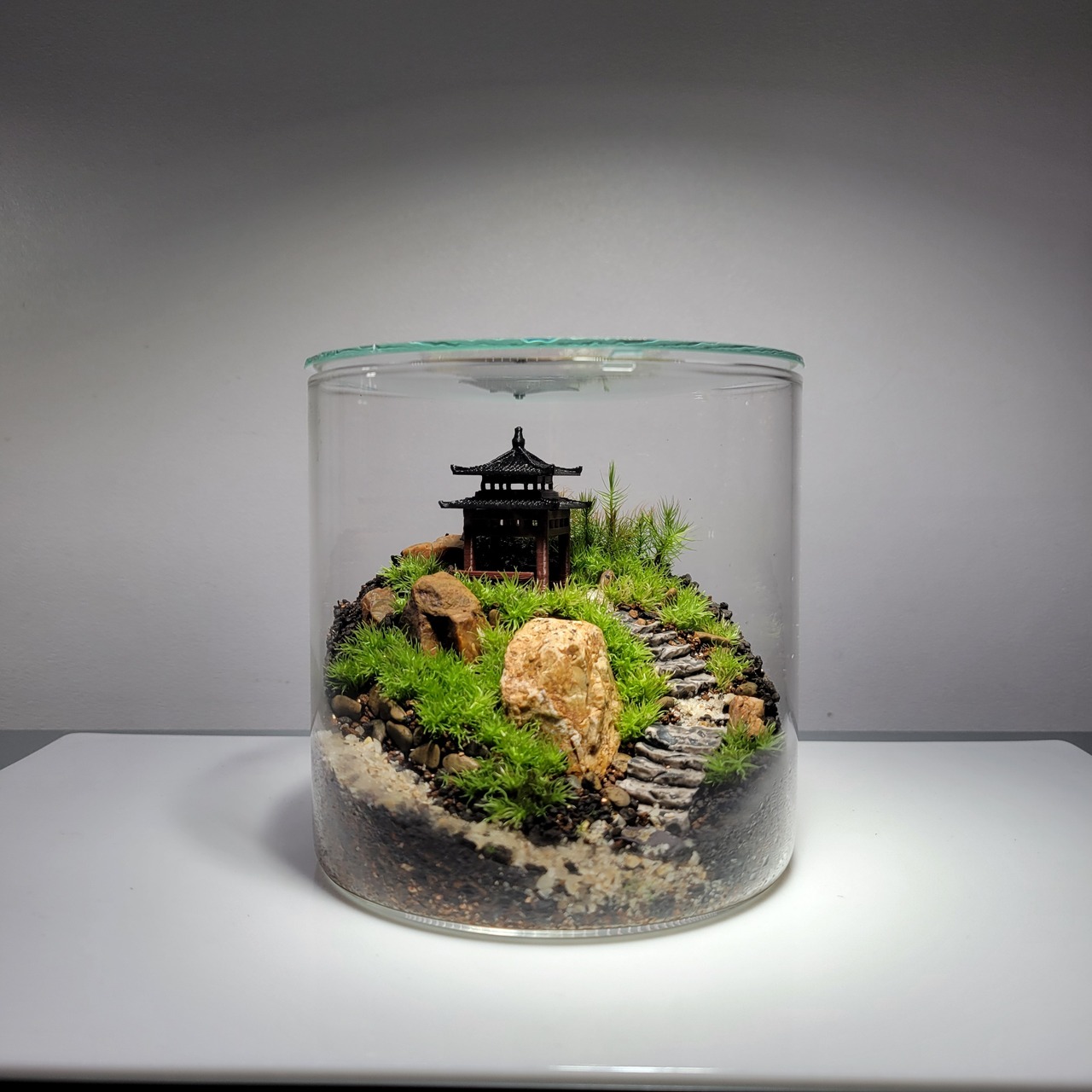 【 いよてつ髙島屋】寺院の風景 テラリウムワークショップ