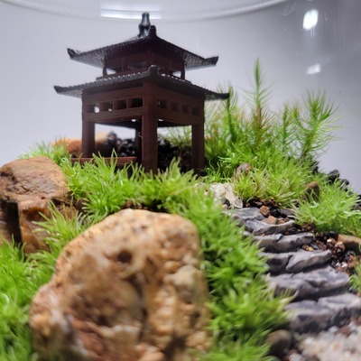 【 いよてつ髙島屋】寺院の風景 テラリウムワークショップ