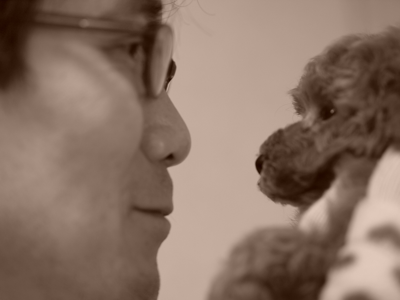 オンライン相談はこちら