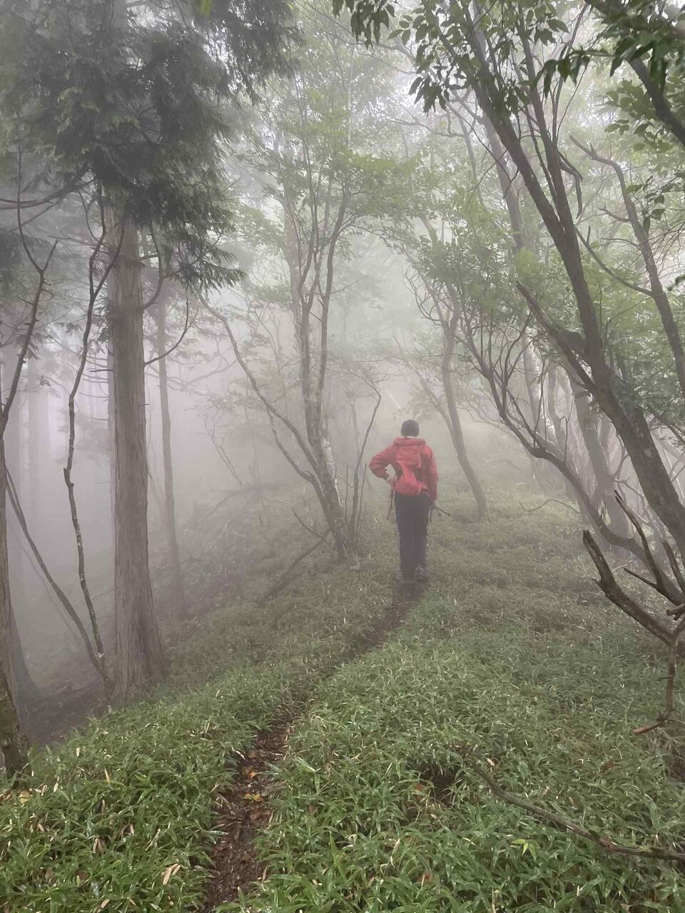 Hiking tour to Mount Kunimi in Iya Valley