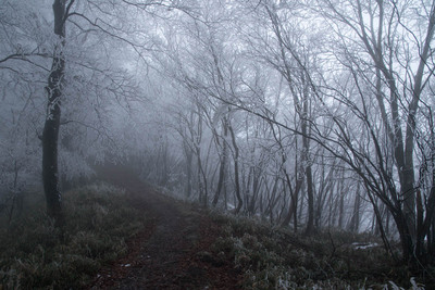 Hiking tour to Mount Kunimi in Iya Valley