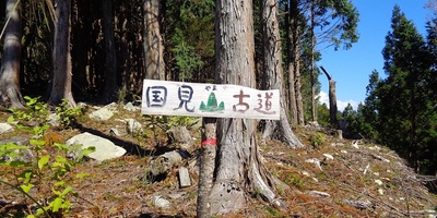 Hiking tour to Mount Kunimi in Iya Valley