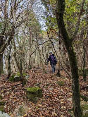 Hiking tour to Mount Kunimi in Iya Valley