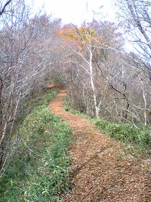 Hiking tour to Mount Kunimi in Iya Valley