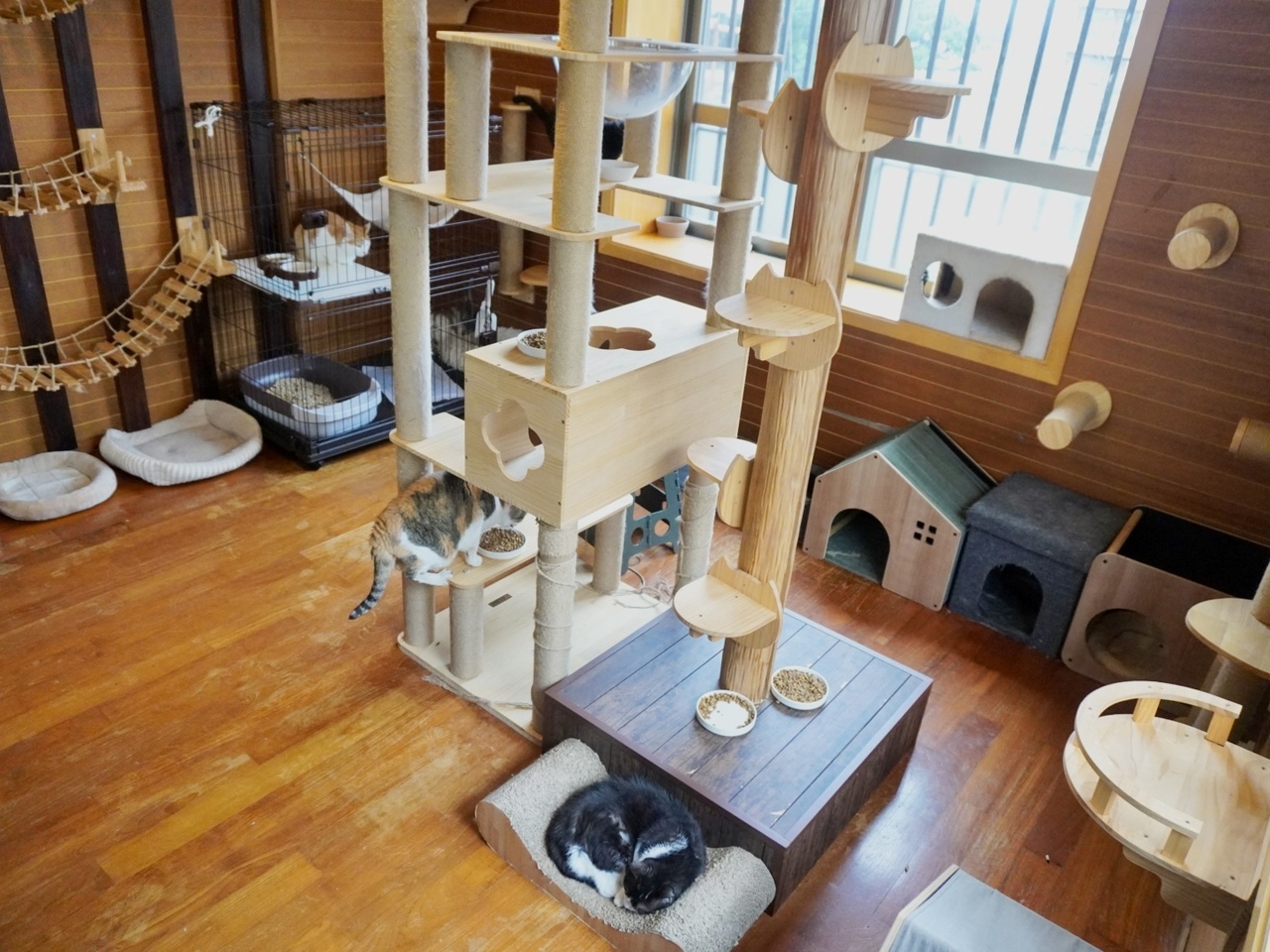 [触れ合い・短時間利用向けのお部屋] Hanare