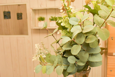 Japanese Massage Technique and Cultural Experience