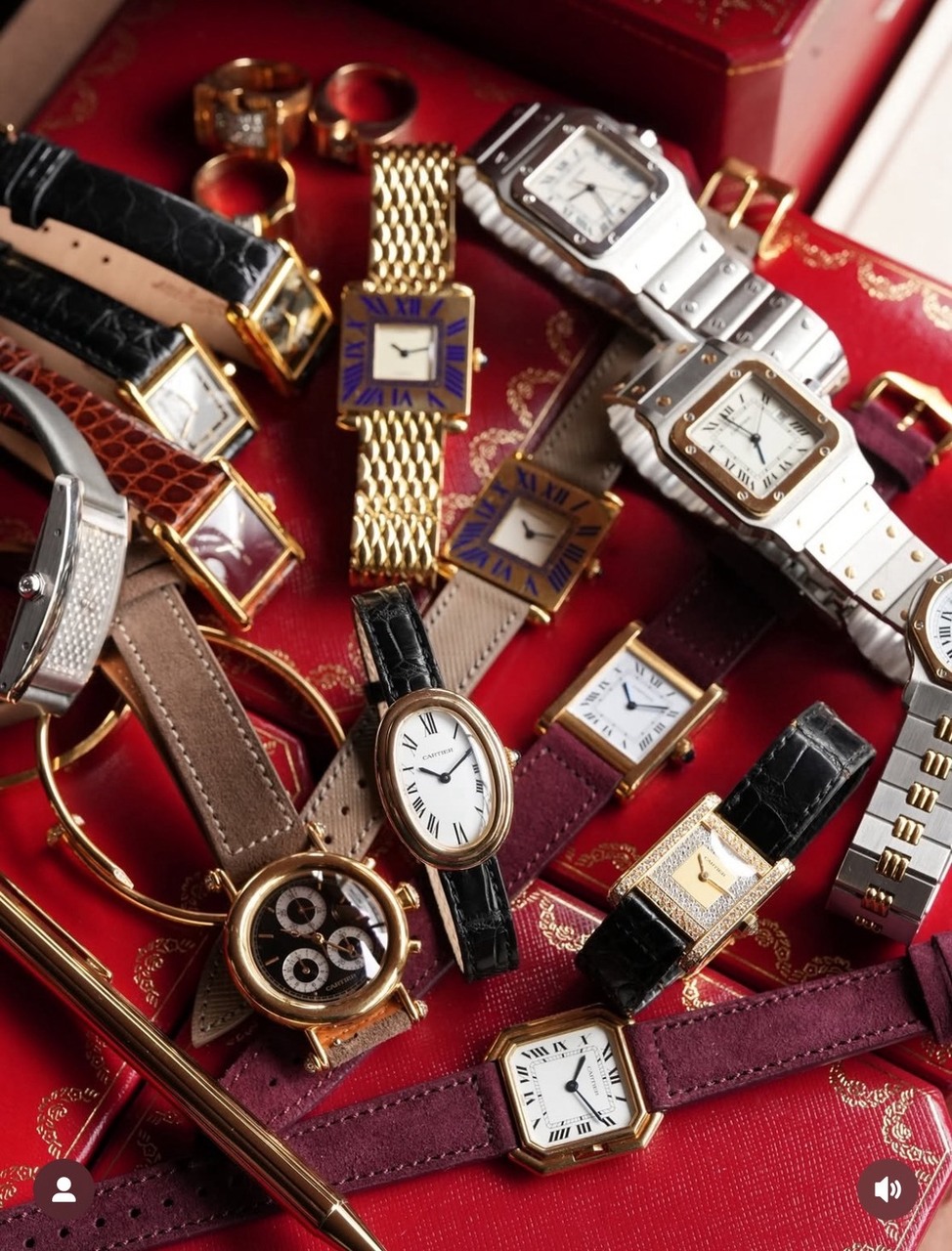 C4C vintage watches TRUNK SHOW