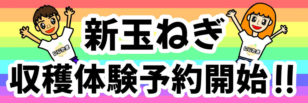 淡路島産新玉ねぎ収穫体験‼