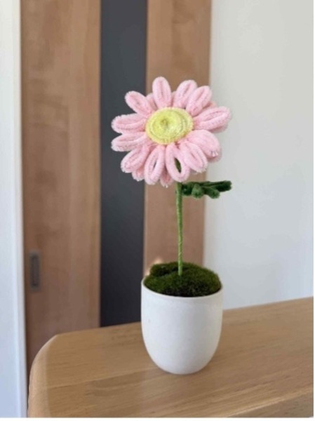 【世田谷】モールフラワー｜2026年1月12日(月・祝)