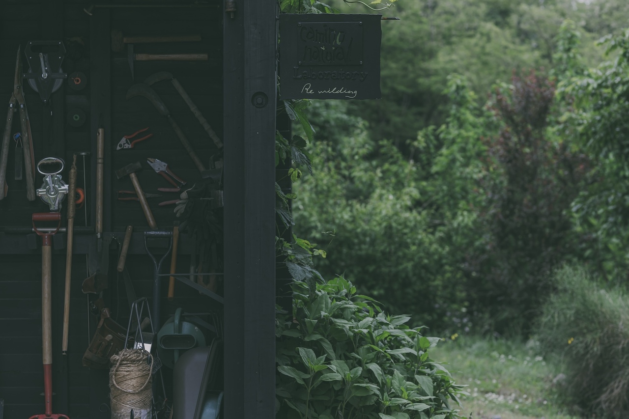 Field work -Rewildingの森100年後計画-