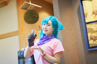 【先着30名限定】小野川温泉　七体験めぐり　特別価格 9,900円