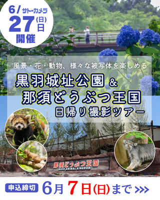 4月18日(土)福島桜ツアー・5月17日(日)日光流鏑馬ツアー・6月27日(土)紫陽花・動物園撮影ツアー