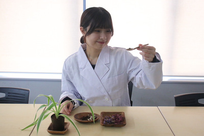 🌷２０２６版【 XIKA メンバー紹介 🌷】