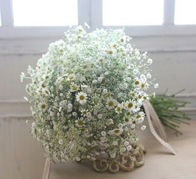 SPECIAL【1月限定 カスミソウと小花のクラッチブーケ】可愛すぎるまるいクラッチブーケを束ねる特別なブーケレッスン