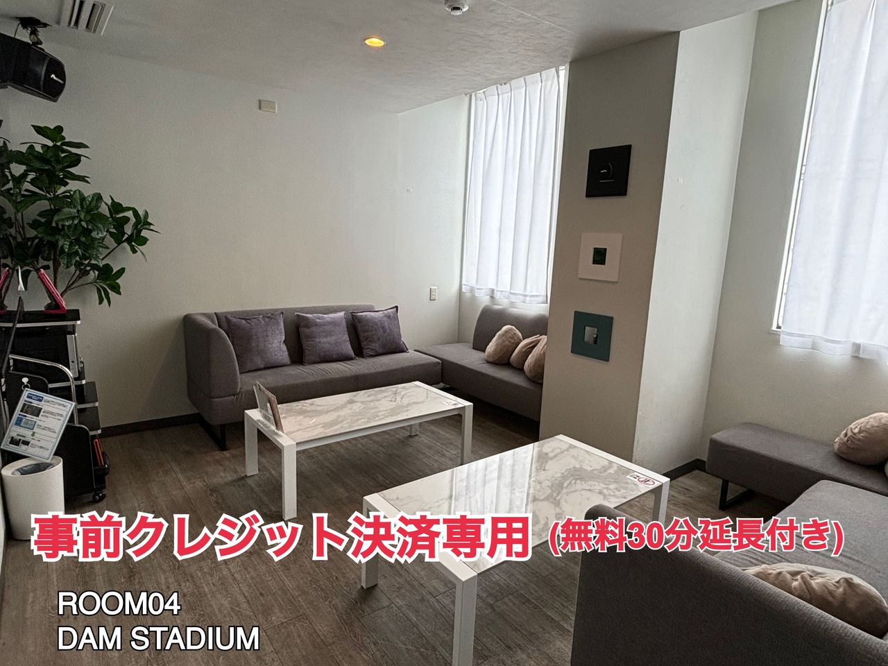 [事前決済]ROOM04🎤DAM STADIUM(1名様)