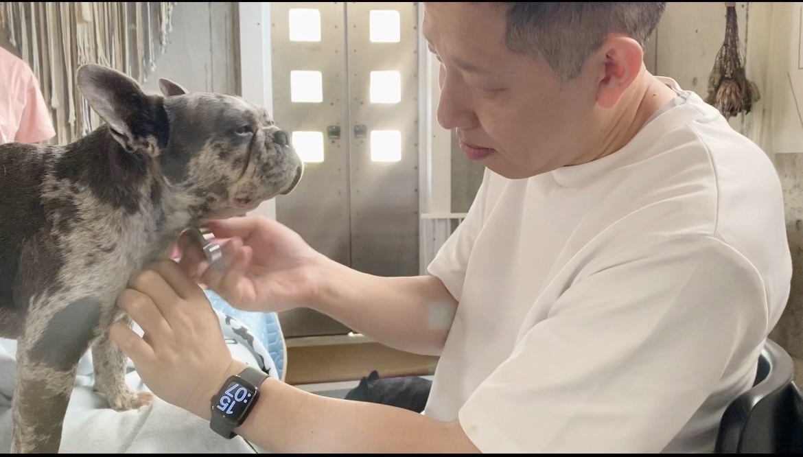 ペットマッサージ＆テーピング体験会 in東京