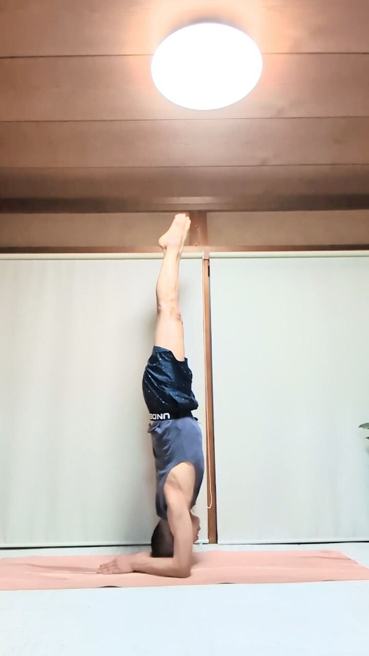 【オンラインWS】11/24(月㊗)ピンチャマユーラアーサナ(肘倒立)基礎トレーニング