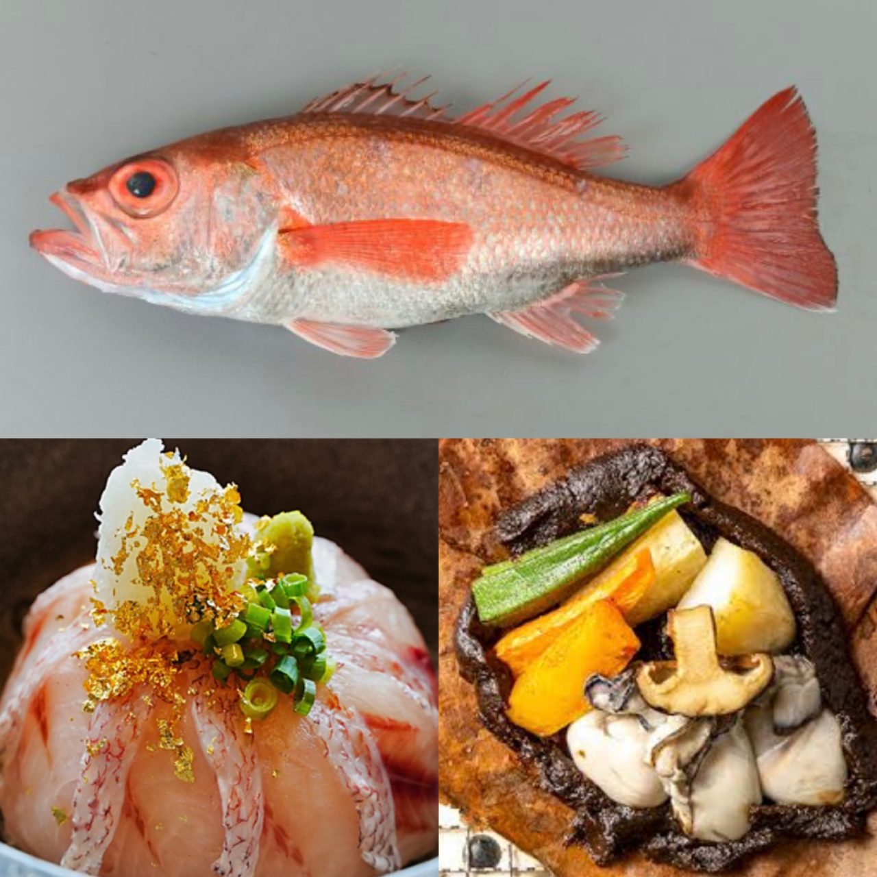 ノドグロをさばき冬の味覚レッスン!