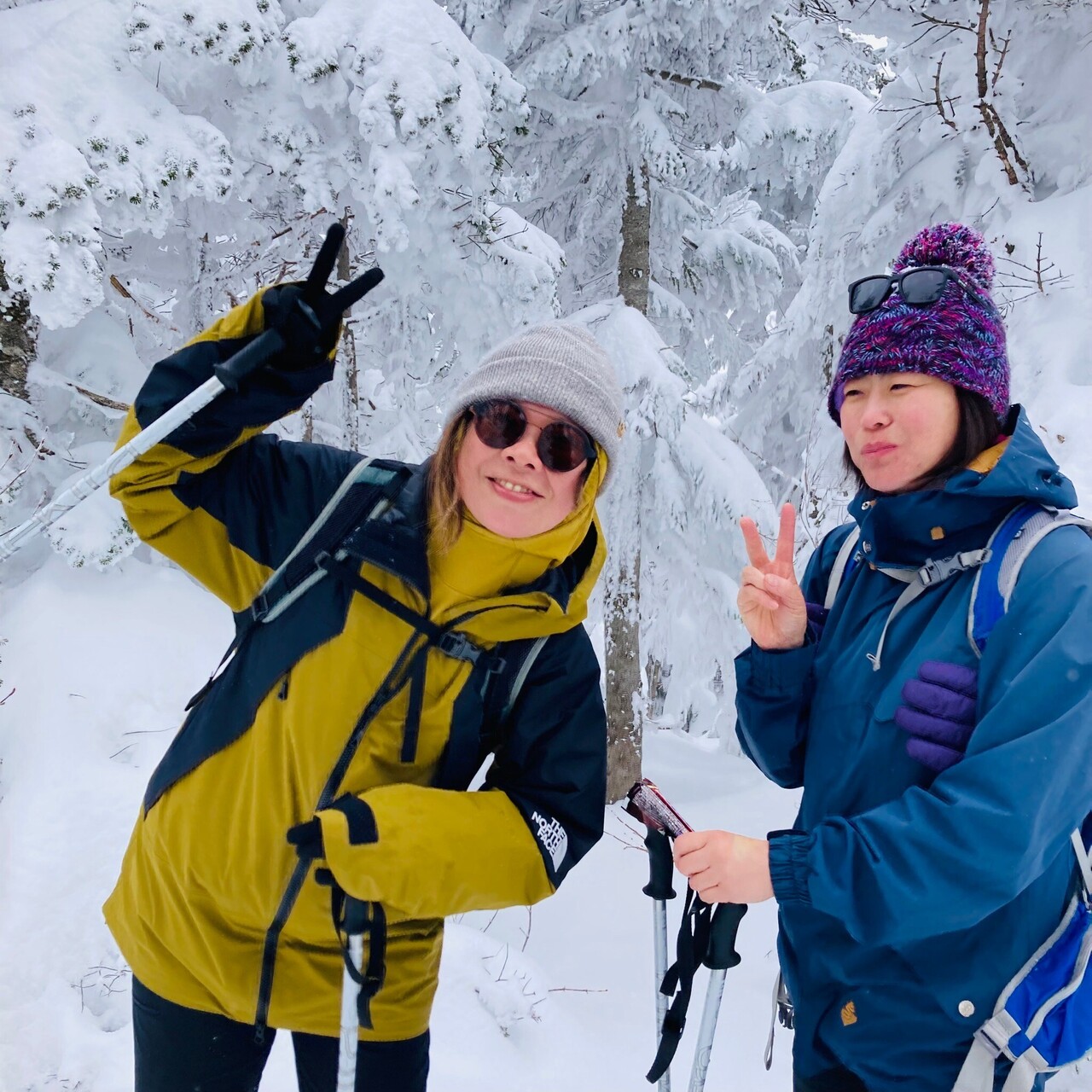 美瑛ホワイトスノーシューツアー（午後）／White snowshoe tour in Biei (afternoon)