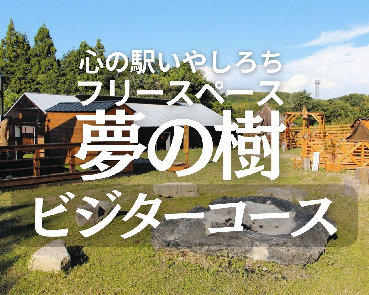 フリースペース夢の樹【ビジターコース】2名分