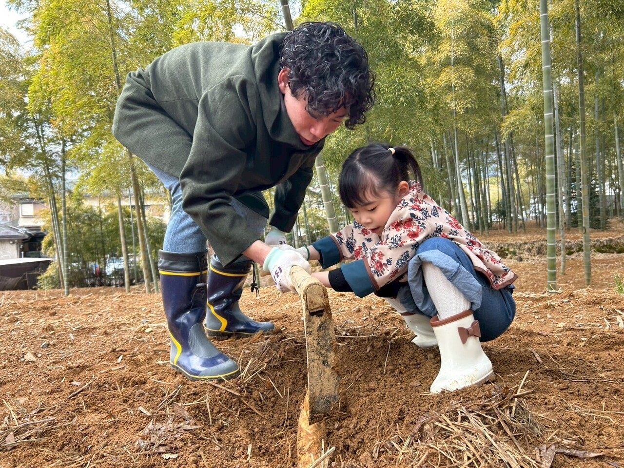 まちゃまちゃママ京たけのこ 4kg箱 京都乙訓産 筍 京都 乙訓 まちゃまちゃママ京たけのこ 4kg箱 京都乙訓産 筍 京都 乙訓