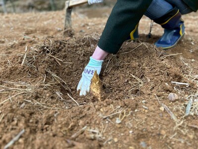 【4月の土日・1日2組様限定！】京都西山・乙訓の名産たけのこ収穫と新鮮ランチ体験