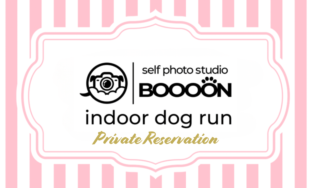 ⭐︎貸切利用☆