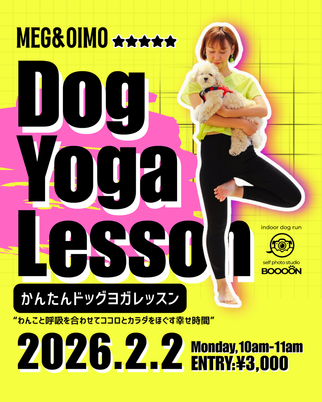 【EVENT】2/2 10:00 DOG YOGA LESSON