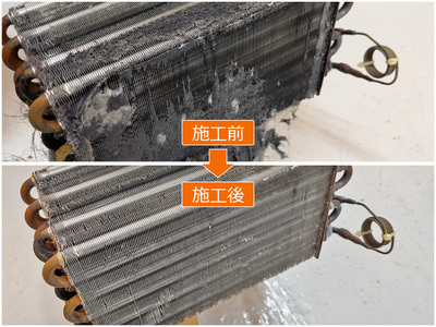 ドラム式洗濯機 徹底分解クリーニング