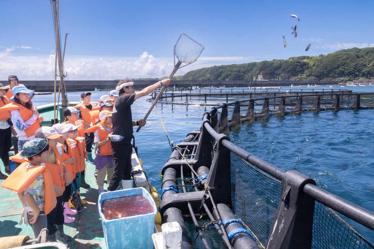 漁業体験-養殖マグロ餌やり-紀州梅まだい餌やり(串本町)_和歌山プログラム_ポケマルおやこ地方留学2025夏