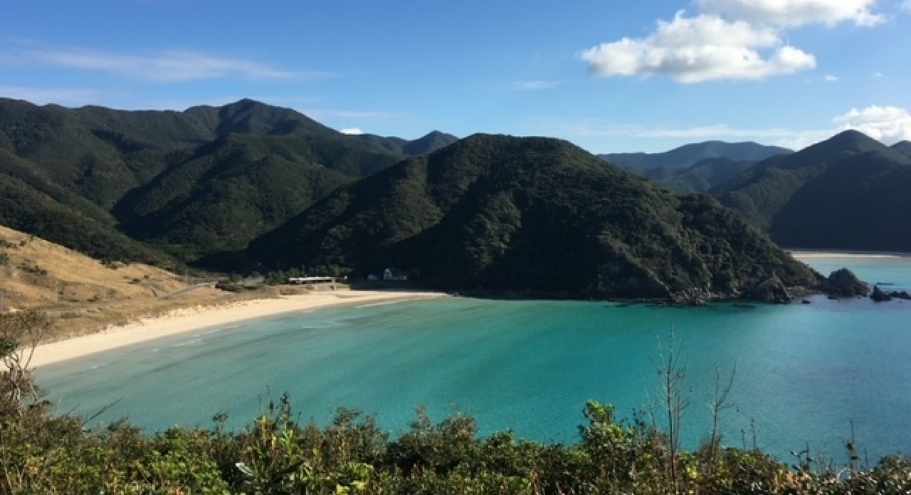 ＜A7-オンライン受講＞洋上風力発電 漁業共生コース（2日間）