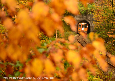 ◆おとな◆ごっつお玉手箱列車 秋田内陸線の走る農家レストラン（企画R7-06）