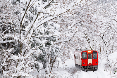 ◆おとな◆ごっつお玉手箱列車 秋田内陸線の走る農家レストラン（企画R7-06）