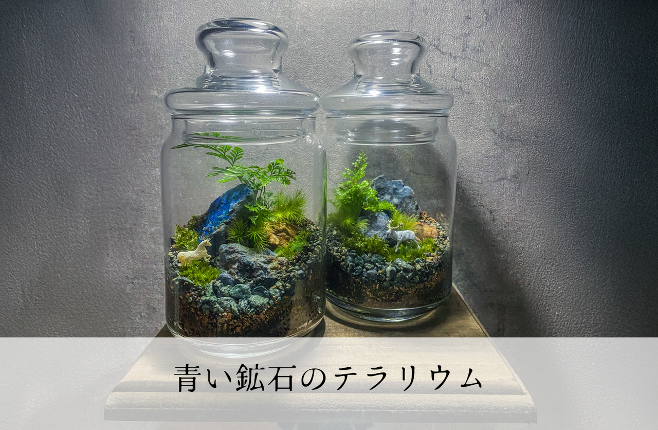 1月の苔テラリウムワークショップ|青い鉱石のテラリウム|木曜は雨音の森へ。