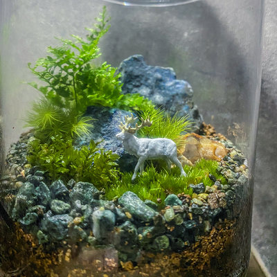 1月の苔テラリウムワークショップ｜青い鉱石のテラリウム｜木曜は雨音の森へ。